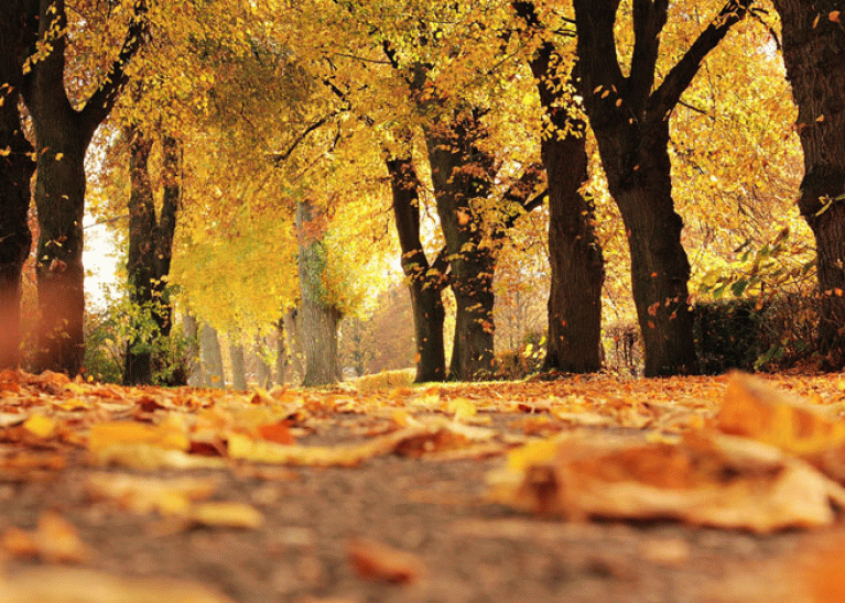 Nearly All jobs At Risk Drinks Production Plant