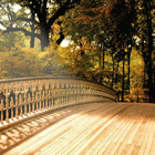 The Beauty of Campus Fascinates