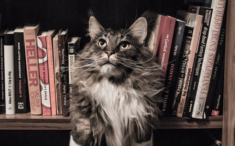 Capturing The Essence of Educate