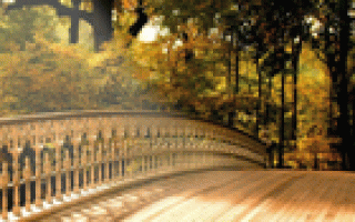 Undergraduate Admissions and Outreach